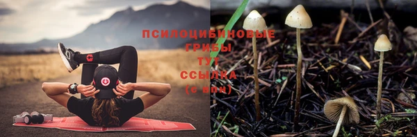 метадон Армянск